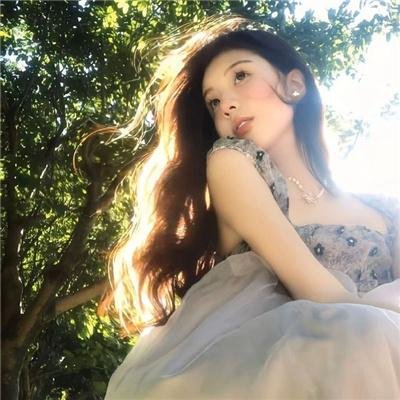 贝壳收藏家